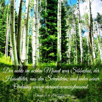 Picture 03 - 1 Chronik 27:11 LUTH1912 - Der achte im achten Monat war Sibbechai, der - Bible Verse Picture