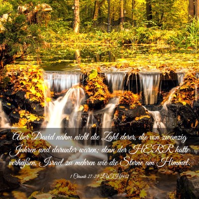 Picture 03 - 1 Chronik 27:23 LUTH1912 - Aber David nahm nicht die Zahl derer, die von - Bible Verse Picture