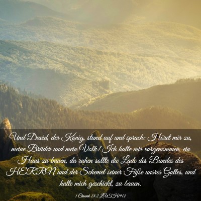 Picture 03 - 1 Chronik 28:2 LUTH1912 - Und David, der König, stand auf und sprach: - Bible Verse Picture