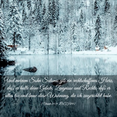 Picture 03 - 1 Chronik 29:19 LUTH1912 - Und meinem Sohn Salomo gib ein rechtschaffenes - Bible Verse Picture