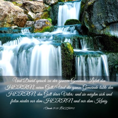 Picture 03 - 1 Chronik 29:20 LUTH1912 - Und David sprach zu der ganzen Gemeinde: Lobet - Bible Verse Picture