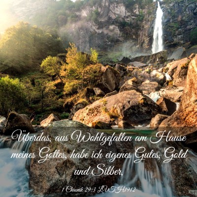 Picture 03 - 1 Chronik 29:3 LUTH1912 - Überdas, aus Wohlgefallen am Hause meines - Bible Verse Picture