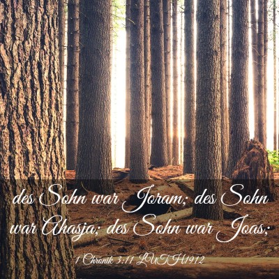 Picture 03 - 1 Chronik 3:11 LUTH1912 - des Sohn war Joram; des Sohn war Ahasja; des Sohn - Bible Verse Picture