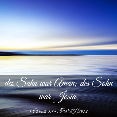 Picture 03 - 1 Chronik 3:14 LUTH1912 - des Sohn war Amon; des Sohn war - Bible Verse Picture
