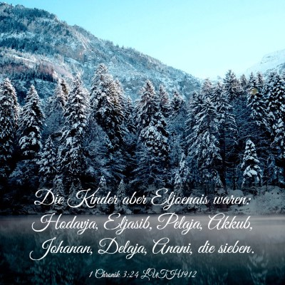Picture 03 - 1 Chronik 3:24 LUTH1912 - Die Kinder aber Eljoenais waren: Hodavja, - Bible Verse Picture