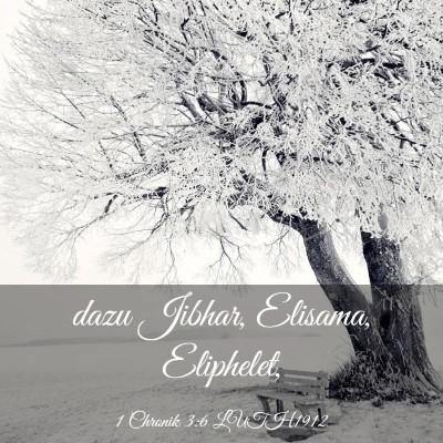 Picture 03 - 1 Chronik 3:6 LUTH1912 - dazu Jibhar, Elisama, - Bible Verse Picture