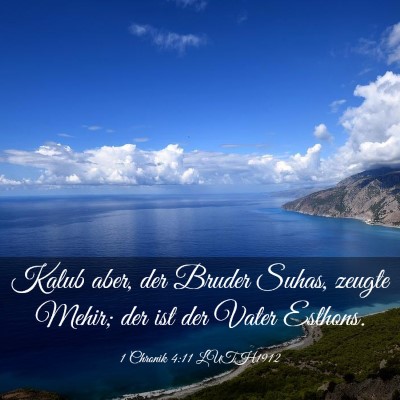 Picture 03 - 1 Chronik 4:11 LUTH1912 - Kalub aber, der Bruder Suhas, zeugte Mehir; der - Bible Verse Picture
