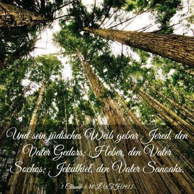 Picture 03 - 1 Chronik 4:18 LUTH1912 - Und sein jüdisches Weib gebar Jered, den Vater - Bible Verse Picture