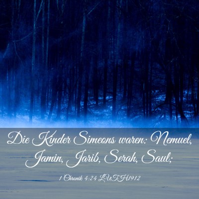 Picture 03 - 1 Chronik 4:24 LUTH1912 - Die Kinder Simeons waren: Nemuel, Jamin, Jarib, - Bible Verse Picture