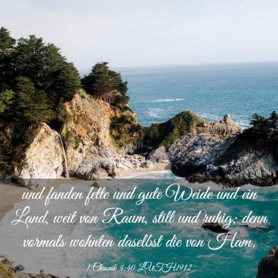 Picture 03 - 1 Chronik 4:40 LUTH1912 - und fanden fette und gute Weide und ein Land, - Bible Verse Picture