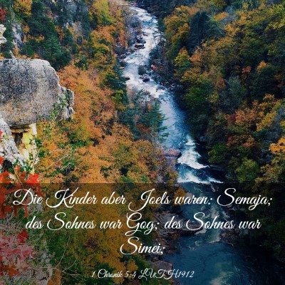 Picture 03 - 1 Chronik 5:4 LUTH1912 - Die Kinder aber Joels waren: Semaja; des Sohnes - Bible Verse Picture