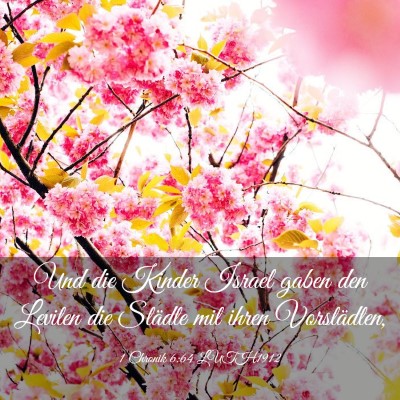 Picture 03 - 1 Chronik 6:64 LUTH1912 - Und die Kinder Israel gaben den Leviten die - Bible Verse Picture