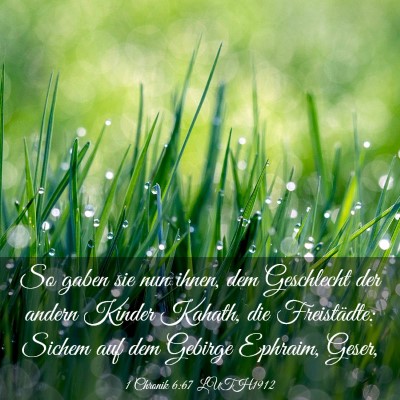 Picture 03 - 1 Chronik 6:67 LUTH1912 - So gaben sie nun ihnen, dem Geschlecht der andern - Bible Verse Picture