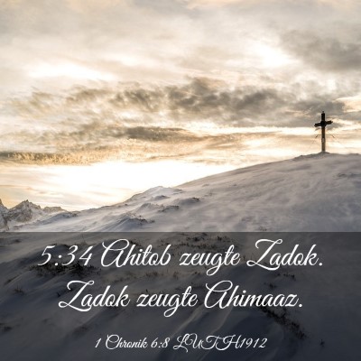 Picture 03 - 1 Chronik 6:8 LUTH1912 - 5:34 Ahitob zeugte Zadok. Zadok zeugte - Bible Verse Picture
