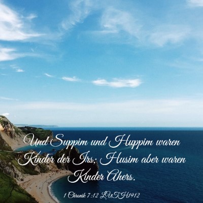 Picture 03 - 1 Chronik 7:12 LUTH1912 - Und Suppim und Huppim waren Kinder der Irs; Husim - Bible Verse Picture