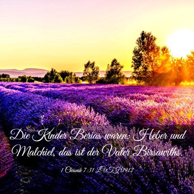 Picture 03 - 1 Chronik 7:31 LUTH1912 - Die Kinder Berias waren: Heber und Malchiel, das - Bible Verse Picture