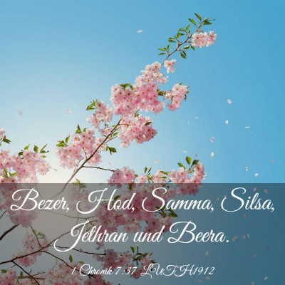 Picture 03 - 1 Chronik 7:37 LUTH1912 - Bezer, Hod, Samma, Silsa, Jethran und - Bible Verse Picture