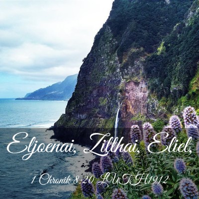 Picture 03 - 1 Chronik 8:20 LUTH1912 - Eljoenai, Zilthai, - Bible Verse Picture