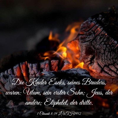 Picture 03 - 1 Chronik 8:39 LUTH1912 - Die Kinder Eseks, seines Bruders, waren: Ulam, - Bible Verse Picture