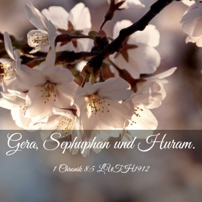 Picture 03 - 1 Chronik 8:5 LUTH1912 - Gera, Sephuphan und - Bible Verse Picture