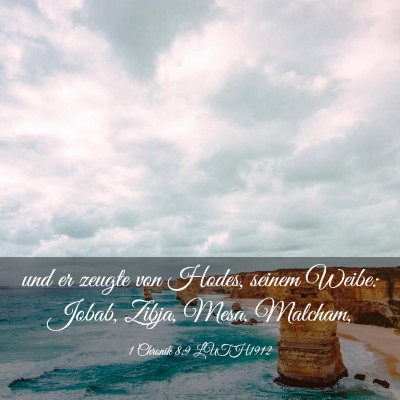 Picture 03 - 1 Chronik 8:9 LUTH1912 - und er zeugte von Hodes, seinem Weibe: Jobab, - Bible Verse Picture