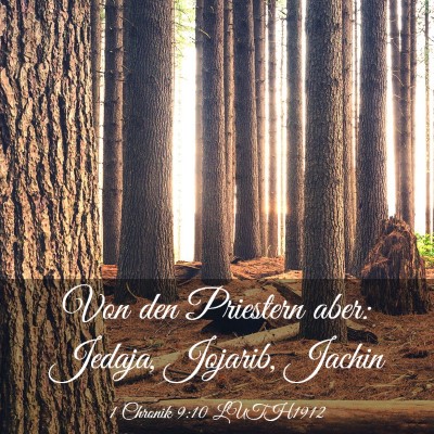 Picture 03 - 1 Chronik 9:10 LUTH1912 - Von den Priestern aber: Jedaja, Jojarib, - Bible Verse Picture