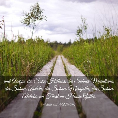Picture 03 - 1 Chronik 9:11 LUTH1912 - und Asarja, der Sohn Hilkias, des Sohnes - Bible Verse Picture