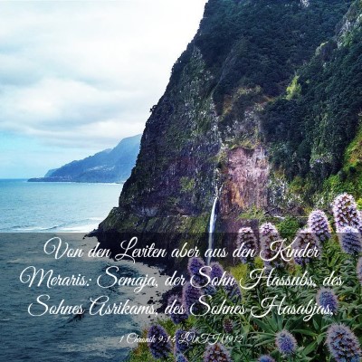 Picture 03 - 1 Chronik 9:14 LUTH1912 - Von den Leviten aber aus den Kinder Meraris: - Bible Verse Picture