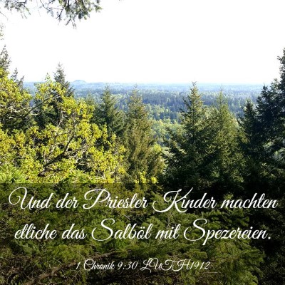 Picture 03 - 1 Chronik 9:30 LUTH1912 - Und der Priester Kinder machten etliche das - Bible Verse Picture
