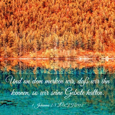 Picture 03 - 1 Johannes 2:3 LUTH1912 - Und an dem merken wir, daß wir ihn kennen, so - Bible Verse Picture