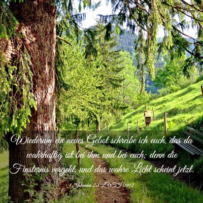 Picture 03 - 1 Johannes 2:8 LUTH1912 - Wiederum ein neues Gebot schreibe ich euch, das - Bible Verse Picture