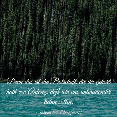 Picture 03 - 1 Johannes 3:11 LUTH1912 - Denn das ist die Botschaft, die ihr gehört habt - Bible Verse Picture