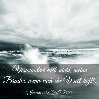 Picture 03 - 1 Johannes 3:13 LUTH1912 - Verwundert euch nicht, meine Brüder, wenn euch - Bible Verse Picture