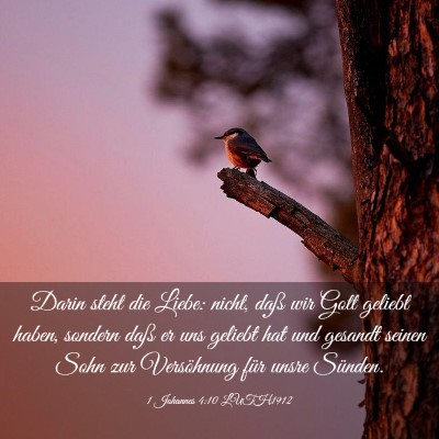 Picture 03 - 1 Johannes 4:10 LUTH1912 - Darin steht die Liebe: nicht, daß wir Gott - Bible Verse Picture