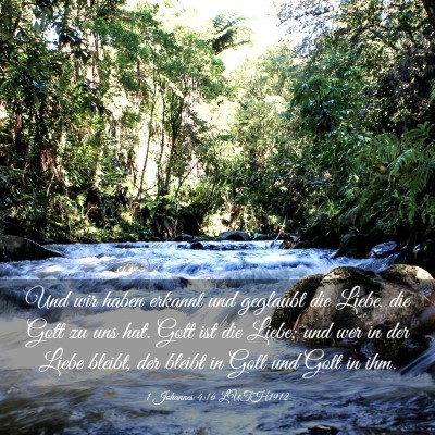 Picture 03 - 1 Johannes 4:16 LUTH1912 - Und wir haben erkannt und geglaubt die Liebe, die - Bible Verse Picture