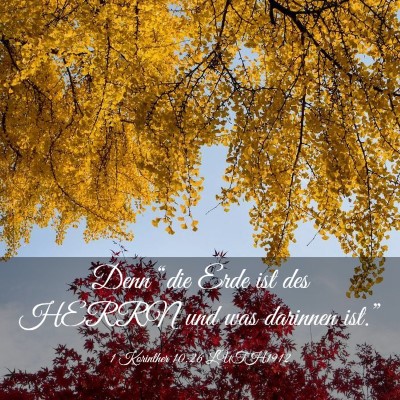 Picture 03 - 1 Korinther 10:26 LUTH1912 - Denn “die Erde ist des HERRN und was darinnen - Bible Verse Picture