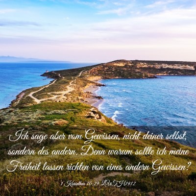 Picture 03 - 1 Korinther 10:29 LUTH1912 - Ich sage aber vom Gewissen, nicht deiner selbst, - Bible Verse Picture