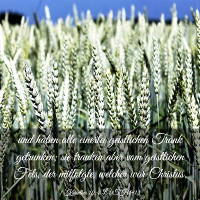 Picture 03 - 1 Korinther 10:4 LUTH1912 - und haben alle einerlei geistlichen Trank - Bible Verse Picture