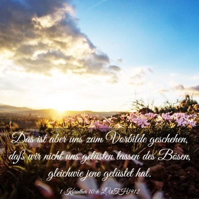 Picture 03 - 1 Korinther 10:6 LUTH1912 - Das ist aber uns zum Vorbilde geschehen, daß wir - Bible Verse Picture