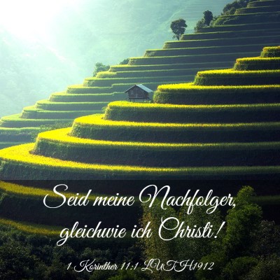 Picture 03 - 1 Korinther 11:1 LUTH1912 - Seid meine Nachfolger, gleichwie ich - Bible Verse Picture