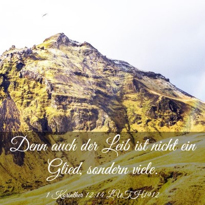 Picture 03 - 1 Korinther 12:14 LUTH1912 - Denn auch der Leib ist nicht ein Glied, sondern - Bible Verse Picture