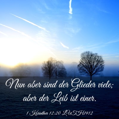 Picture 03 - 1 Korinther 12:20 LUTH1912 - Nun aber sind der Glieder viele; aber der Leib - Bible Verse Picture