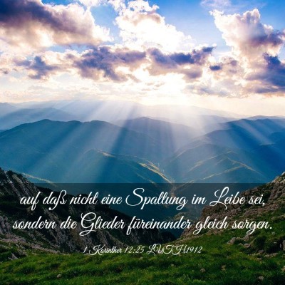 Picture 03 - 1 Korinther 12:25 LUTH1912 - auf daß nicht eine Spaltung im Leibe sei, - Bible Verse Picture
