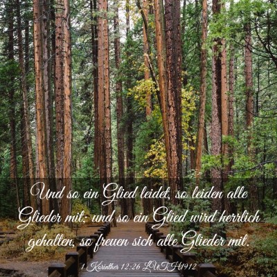 Picture 03 - 1 Korinther 12:26 LUTH1912 - Und so ein Glied leidet, so leiden alle Glieder - Bible Verse Picture