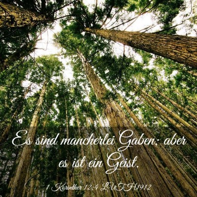 Picture 03 - 1 Korinther 12:4 LUTH1912 - Es sind mancherlei Gaben; aber es ist ein - Bible Verse Picture