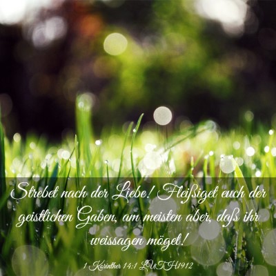 Picture 03 - 1 Korinther 14:1 LUTH1912 - Strebet nach der Liebe! Fleißiget euch der - Bible Verse Picture