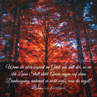 Picture 03 - 1 Korinther 14:16 LUTH1912 - Wenn du aber segnest im Geist, wie soll der, so - Bible Verse Picture