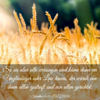 Picture 03 - 1 Korinther 14:24 LUTH1912 - So sie aber alle weissagen und käme dann ein - Bible Verse Picture