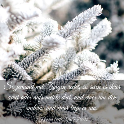 Picture 03 - 1 Korinther 14:27 LUTH1912 - So jemand mit Zungen redet, so seien es ihrer - Bible Verse Picture