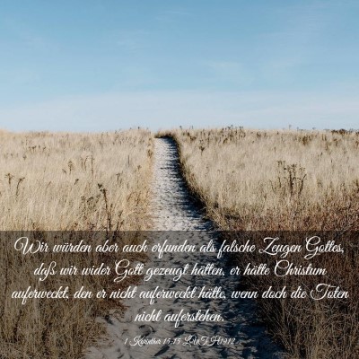 Picture 03 - 1 Korinther 15:15 LUTH1912 - Wir würden aber auch erfunden als falsche Zeugen - Bible Verse Picture